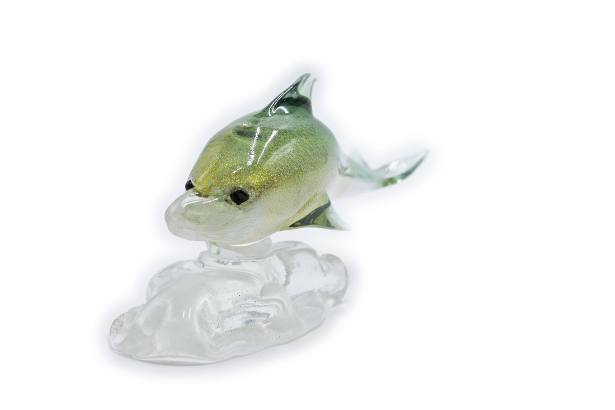 Dolphin