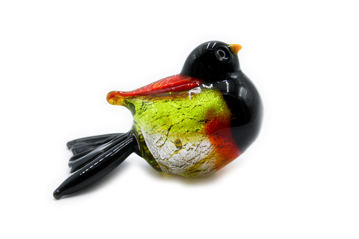 Small colorful birds