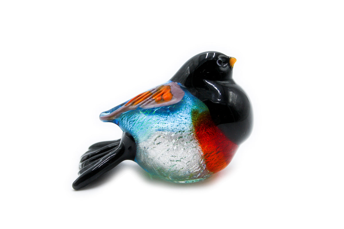 Small colorful birds