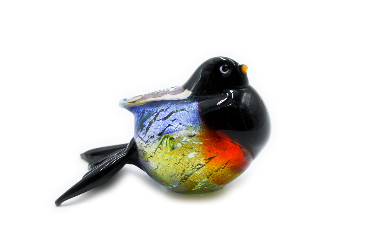 Small colorful birds