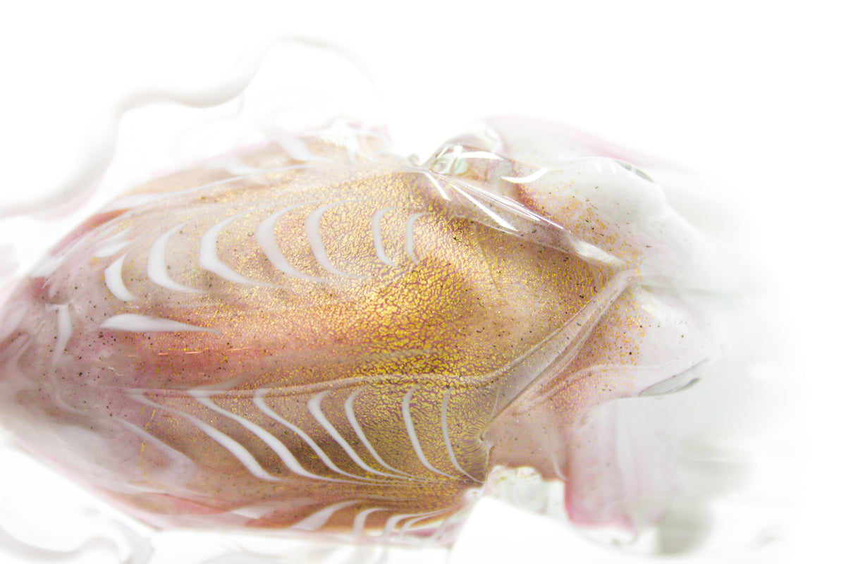 Baby cuttlefish