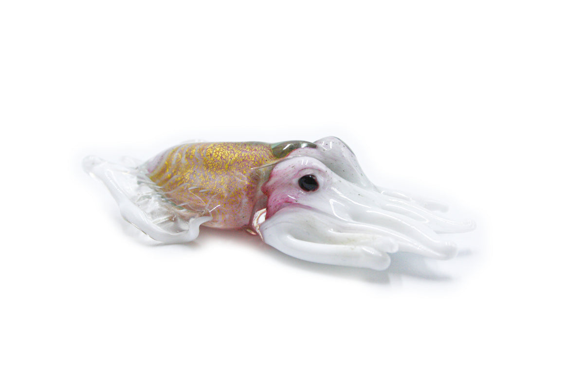 Baby cuttlefish