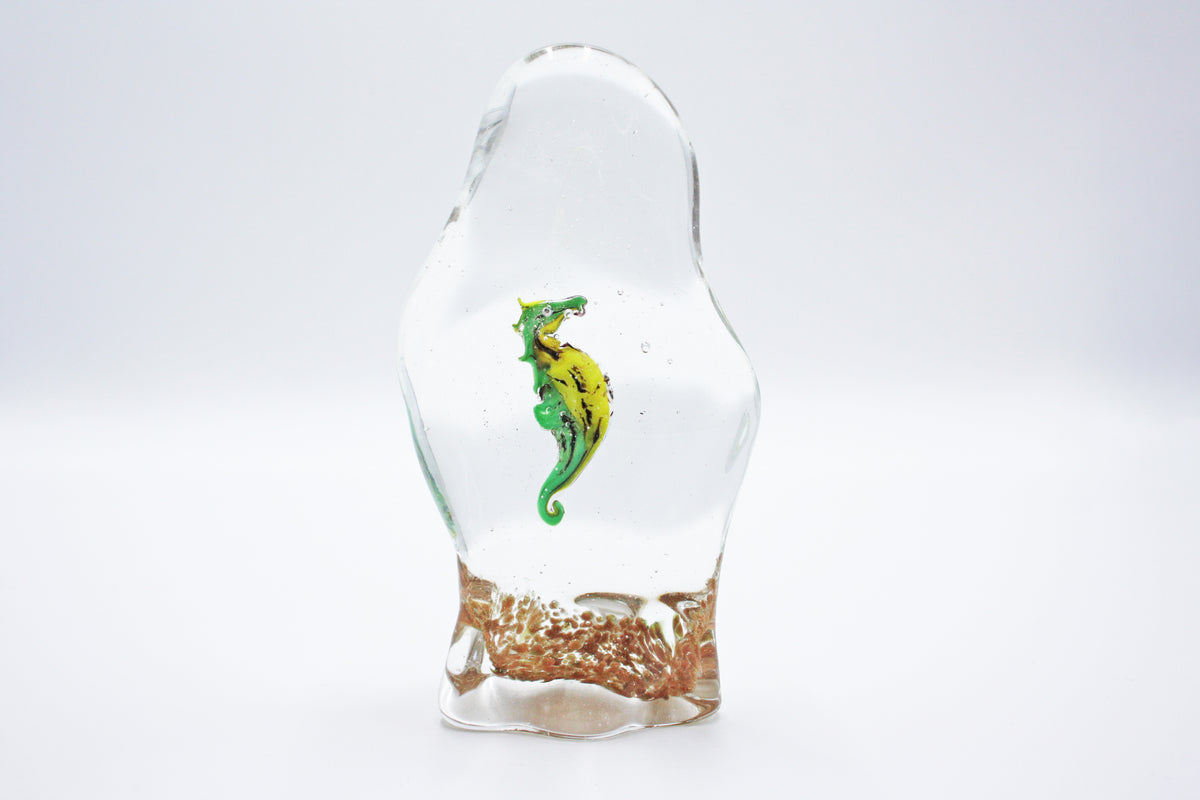 Seahorse Aquarium