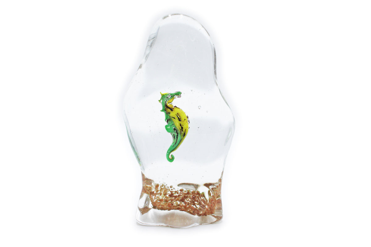 Seahorse Aquarium