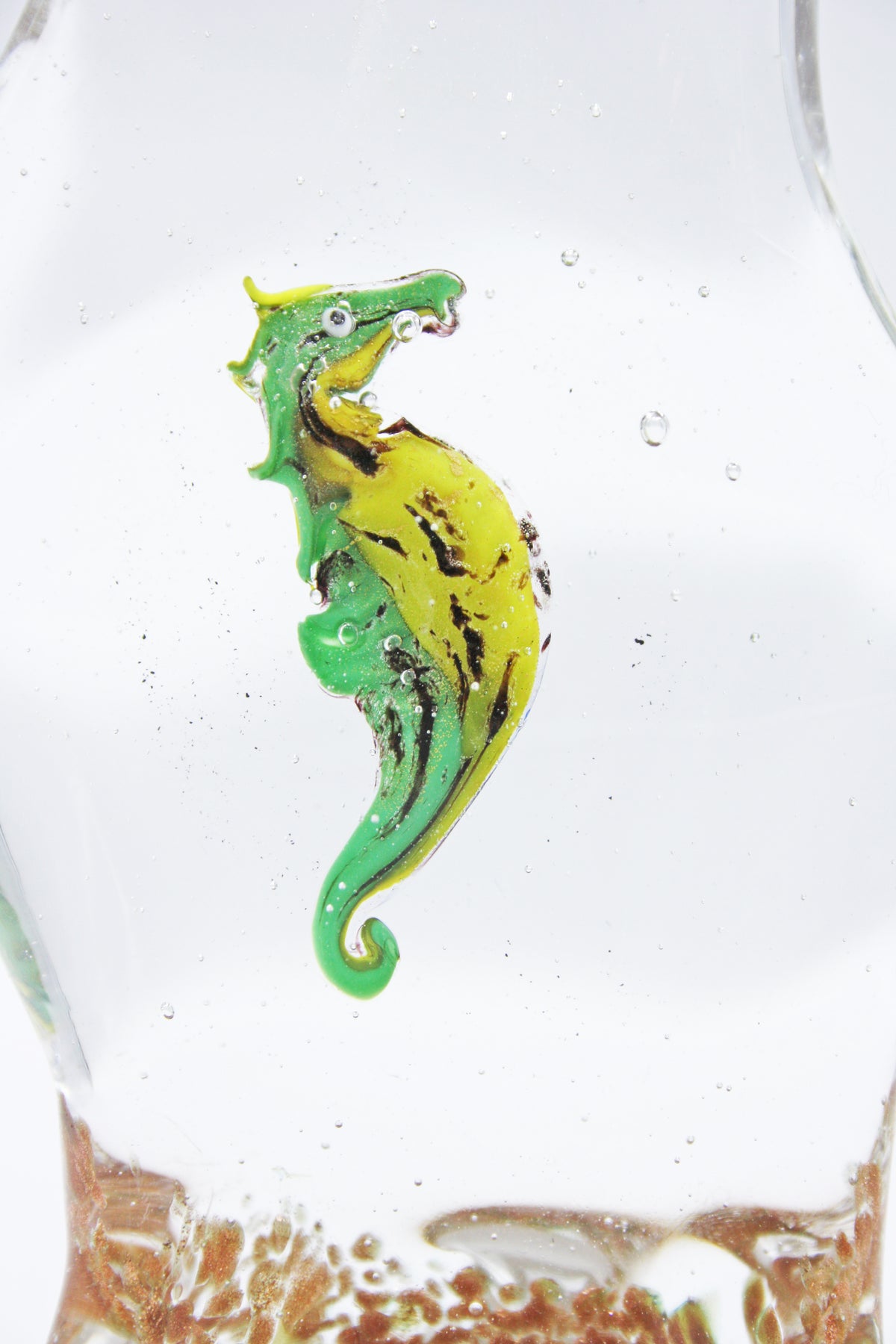 Seahorse Aquarium